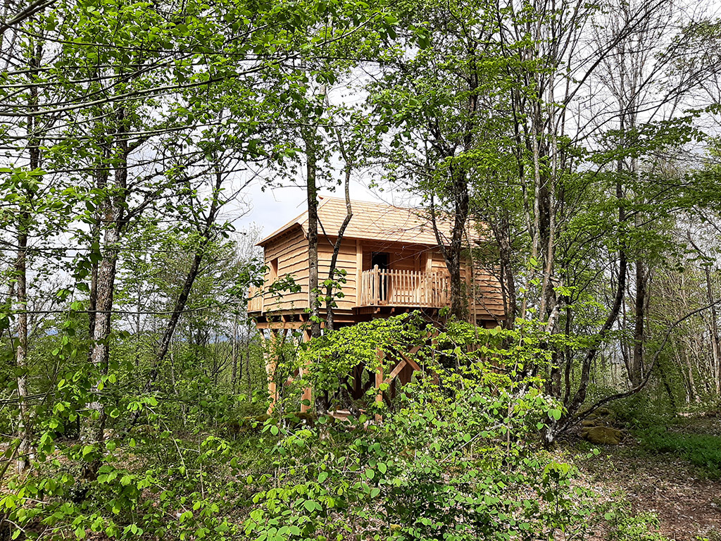 Cabane Mésange